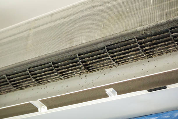 Best Air Duct Cleaning Near Me  in Heron Bay, GA